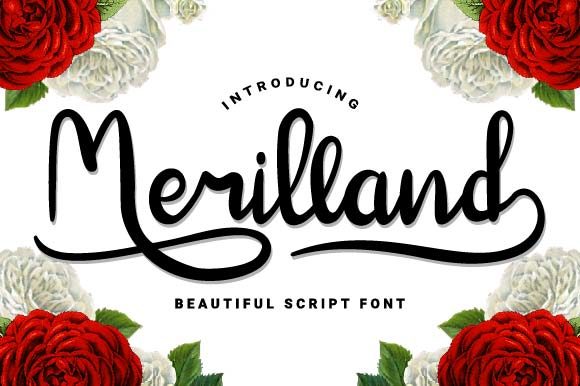 Merilland Typeface Review for Modern Web Layouts