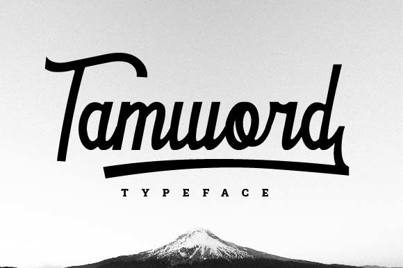 Tamword: The Balanced Script Handwritten Font for Modern Branding