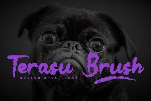Terasu Brush: A Thick Handwritten Font for Creative Projects