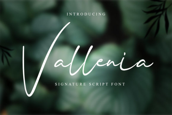 Vallenia Script Handwritten Font for Elegant Branding